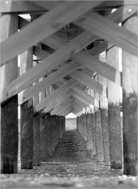 Under The Pier DeWane Stone